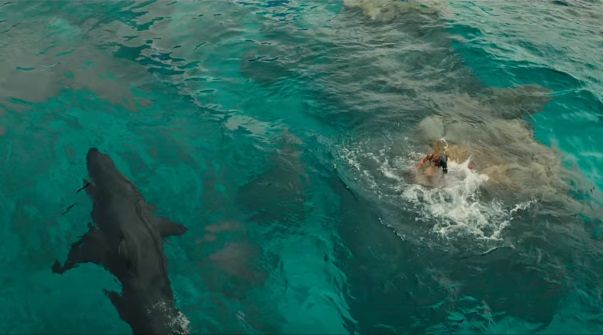 shallows.jpg?w=640